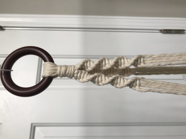 Echeveria Plant Hanger - Image 2