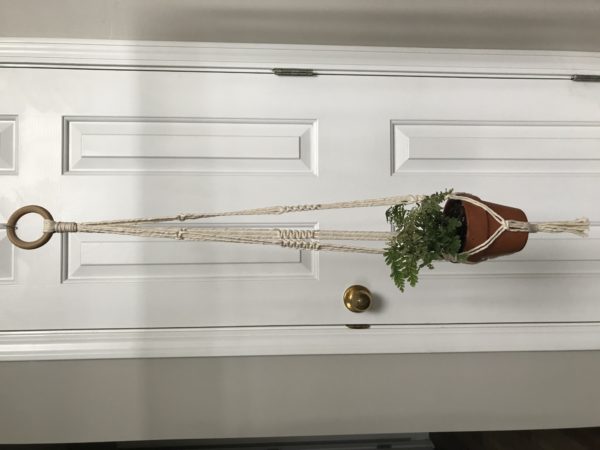 Sansevieria Plant Hanger