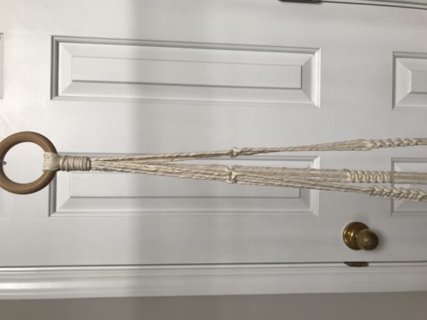 Sansevieria Plant Hanger - Image 3