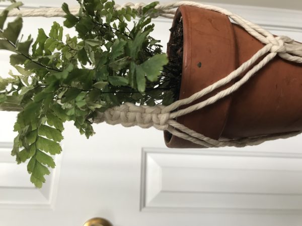 Sansevieria Plant Hanger - Image 2