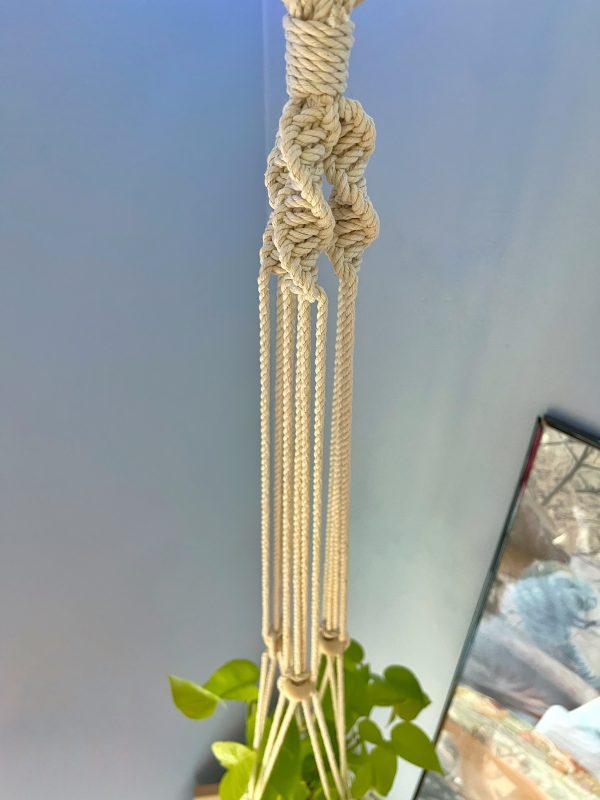 Philodendron Plant Hanger - Image 2