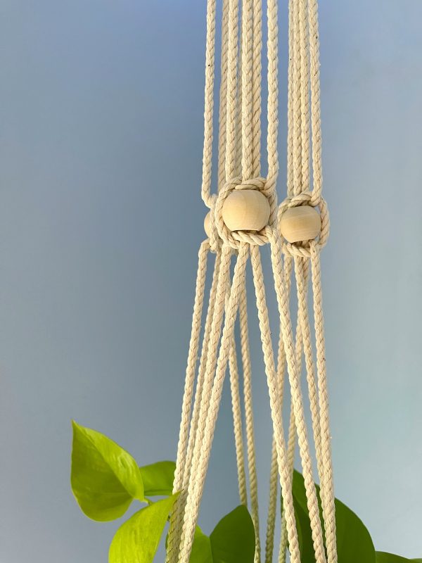 Philodendron Plant Hanger - Image 3