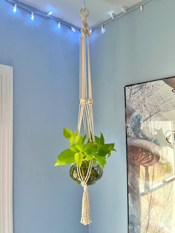 Philodendron Plant Hanger
